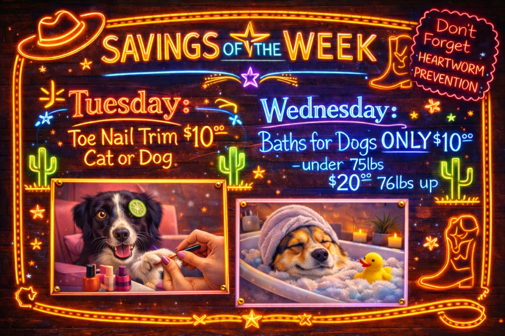 9d33c3c3 ed93 4314 953c 91e5ce3706d9