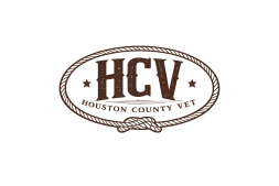hcv logo transparent